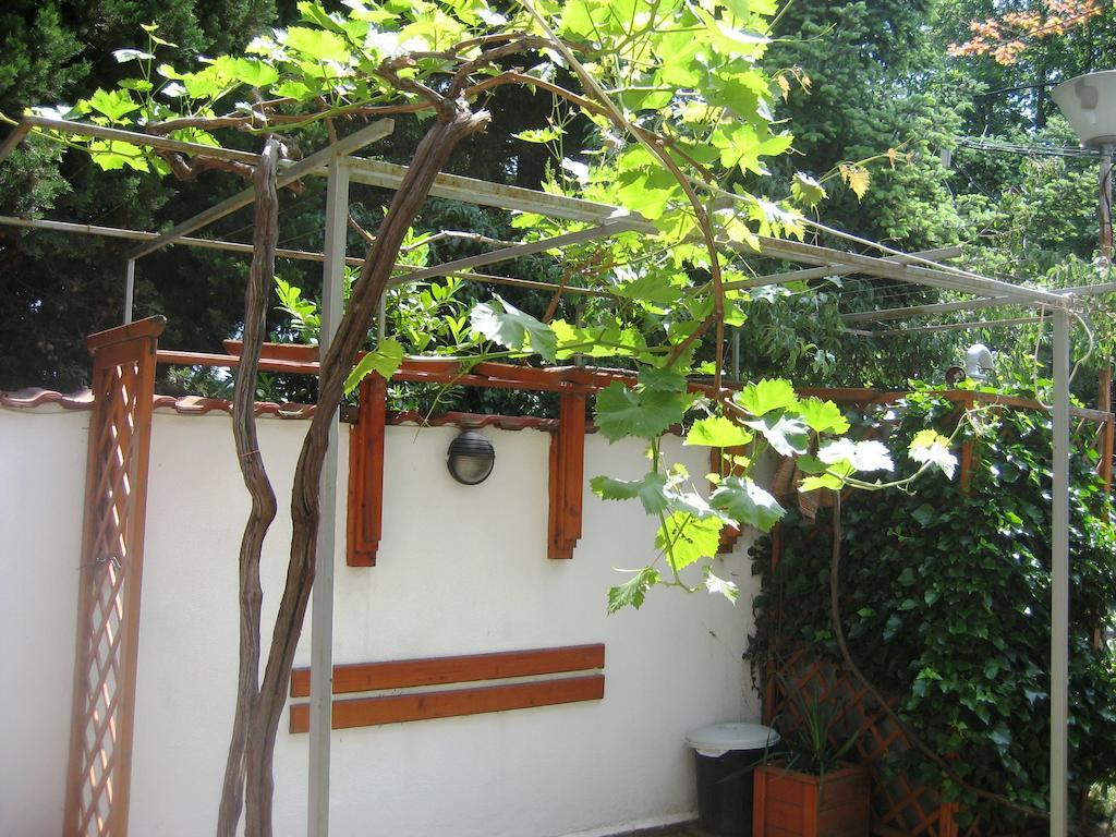 Guest House Yanina Βάρνα Εξωτερικό φωτογραφία