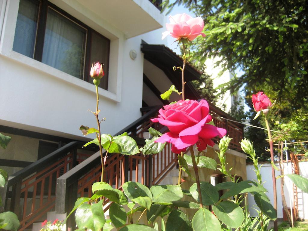 Guest House Yanina Βάρνα Εξωτερικό φωτογραφία